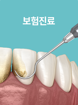 보험진료